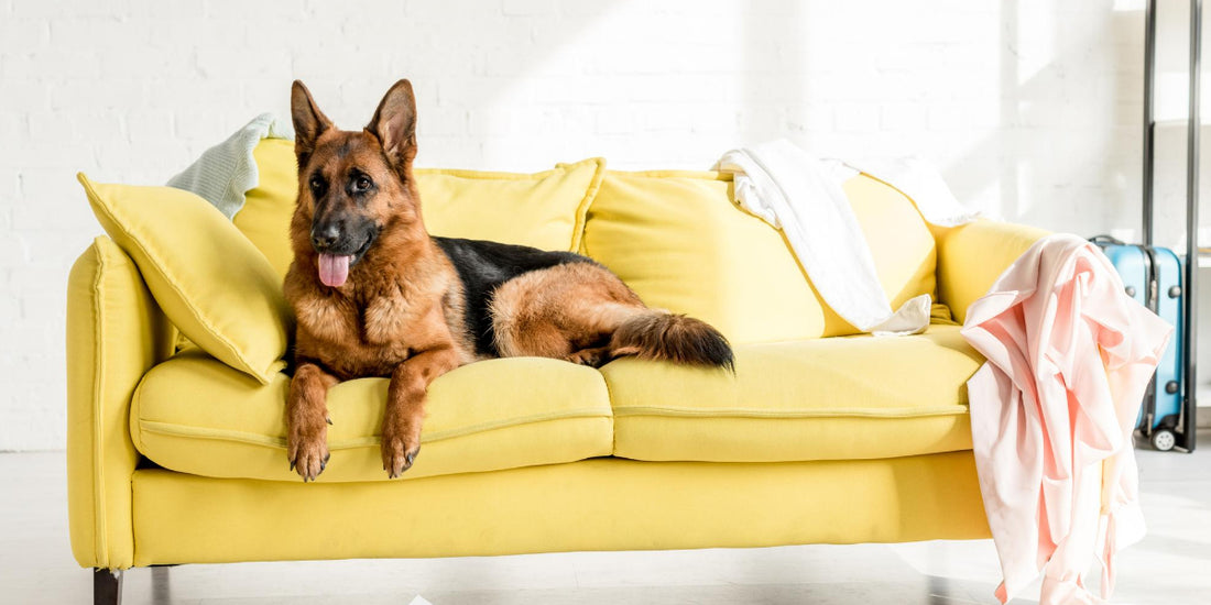 101 Things You Need to Throw Out Today